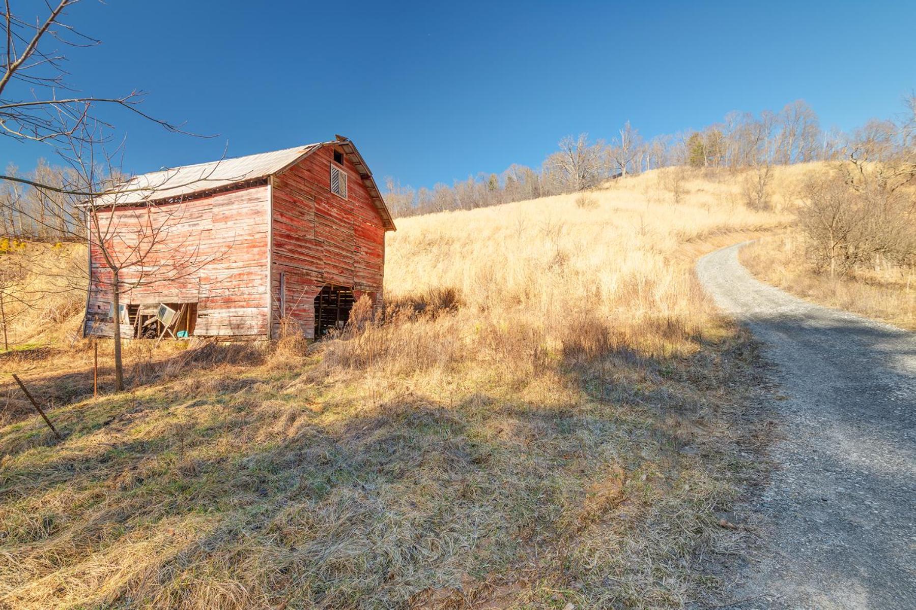 הוילה Morgan Branch Cabin In Marshall מראה חיצוני תמונה